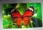 Tarjetas de impresión animadas lenticulares baratas LENTICULARES PLÁSTICAS del animal doméstico 3d proveedor